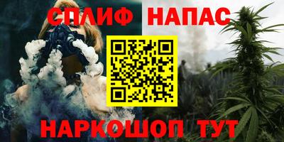 Альфа ПВП Моздок