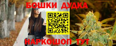 Альфа ПВП Можга