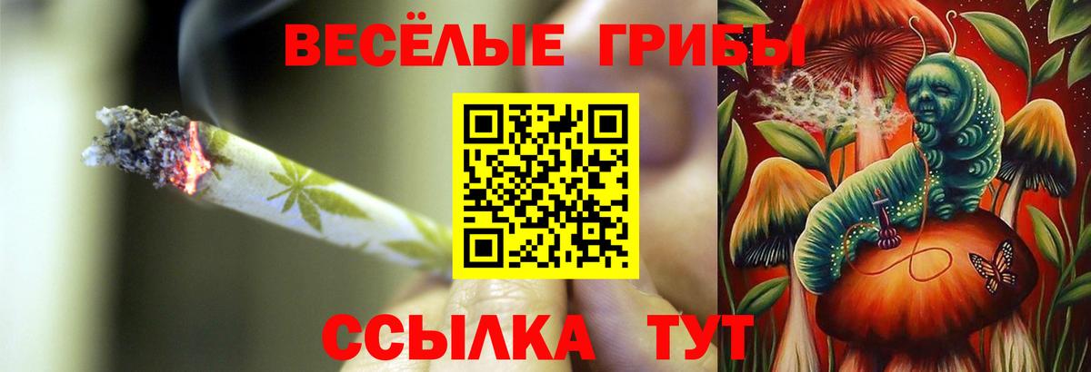 Фурманов  закладка  Вход с VPN  Псилоцибиновые грибы GOLDEN TEACHER 